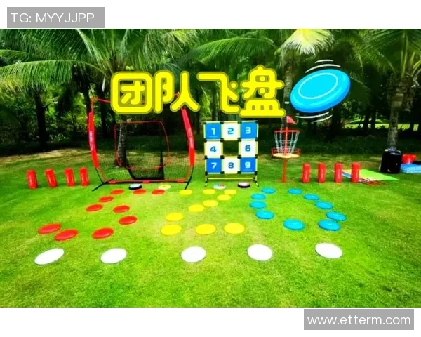 2026飞盘心理素质排行榜：北京飞盘队位居第2名